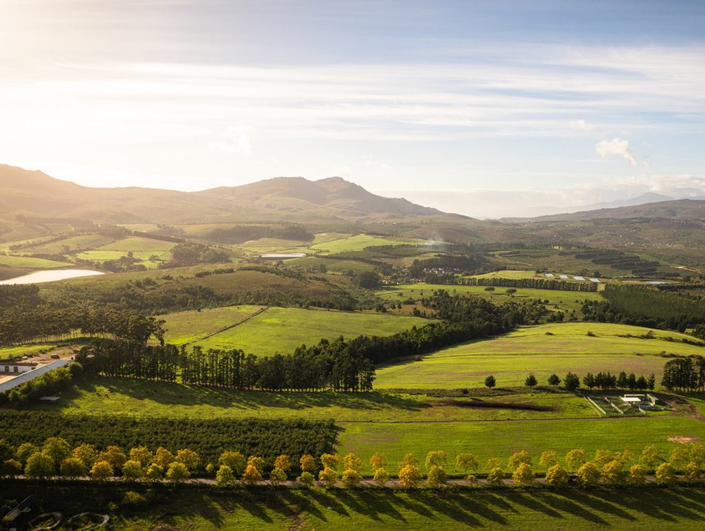 Elgin Valley